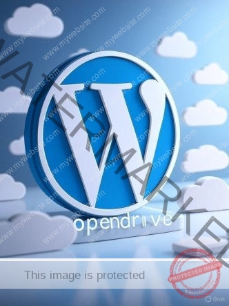 Simpan & Kelola Data dengan Mudah Bersama OpenDrive.com!